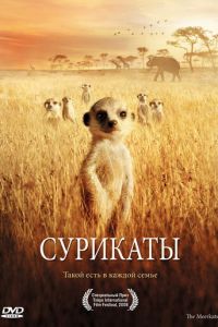 Сурикаты (2007)